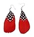 Dangle Feather Earrings
