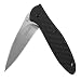 Kershaw Leek Carbon Fiber (1660CF); Pocket Knife with 3" Stonewashed CPM 154 Steel Blade, Black Carbon Fiber Handle, SpeedSafe Assisted Opening, Frame Lock, Tip Lock and Reversible Pocketclip; 2.3 OZ primary