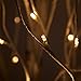 Warm White LED Birch Tree Lit Tree Décor – White Artificial Birch Tree (3 Ft, 36 Warm White LED Lights)