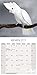 Cockatoos Calendar - 2018 Wall calendars - Parrot Calendars - Bird Calendars - Calendars 2017 - 2018 Wall Calendars - Monthly Wall Calendar by Avonside