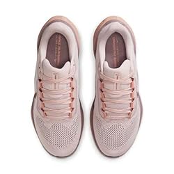 Nike Women's Pegasus 41 Sneaker, Silt Red/Metallic