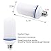 TOLOCO LED Flame Effect Light Bulb for Christmas E26- 1300K 150 Lumens Nature Fire effect - Antique Lantern Atmosphere for Christmas, Hotel , Bars, Home Decoration