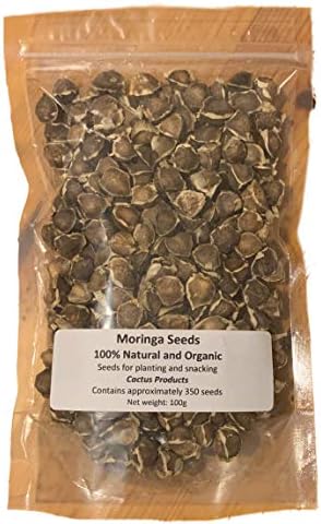 Moringa Oleifera Seeds Organic 100g Dried Seeds for Eating and Planting No Shaft