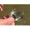 Piscifun-Fly-Fishing-Tapered-Leader-with-Loop-9-5-Pack