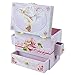 ShameOnJane Ballerina Jewelry Box and Girls Jewelry Box - Music Box - A Great Gift for your Niece, Daughter or Granddaughter, Bracelet Included.