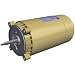 Hayward SPX1607Z1M Motor Replacement for Select Hayward Pump, 1.0  HP Maxrate Motor primary