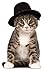 Rubie's Top Hat for Your Pet, Medium/Large Multicolor