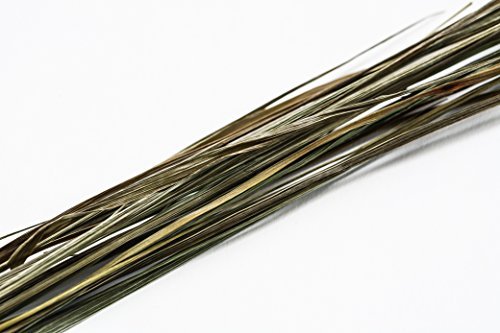 BIESON Grasses 2L
