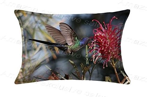 POPULARE Hummingbird Pillow Case Cover Queen Standard Size 2017 Pillow Protector 20x30inch(Twin Sides) With Hidden Zipper