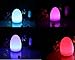 LED Mood Ball Light,WONFAST Rechargeable LED Bedside Table Lamp,Night Light with 16 Color Change and 4 Flash Modes,Suits for Outdoor Indoor Decoration (14x19cm-Egg)