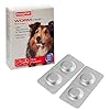 Beaphar-WORMclear-Tablets-for-Large-Dogs Beaphar | WORMclear® Tablets for Dogs up to 40kg | Kills All Common UK Intestinal Worms (Roundworms & Tapeworms) | Vet…