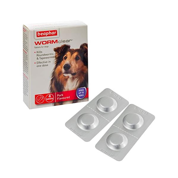 Beaphar-WORMclear-Tablets-for-Large-Dogs Beaphar | WORMclear® Tablets for Dogs up to 40kg | Kills All Common UK Intestinal Worms (Roundworms & Tapeworms) | Vet…