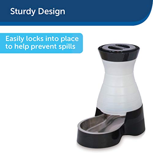 PetSafe Healthy Pet Food Station Gravity Pet Feeder for Dogs and Cats