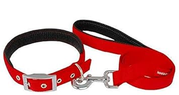 Smarty Pet Padded Nylon Dog Collar and Leash Set, Red, 1 Inch