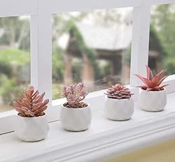 VIVERIE Mini Succulents Plants Artificial in