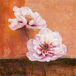Eurographics AGA1030 Anna Gardner, Pastell Poppies 70 x 70 cm, Hochwertiger Kunstdruck