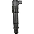 N51WSTAR Ignition Coil Pack Set Of 1 Compatible With Kawasaki Ninja ZX-12R Suzuki Boulevard Burgman AN650 GSF 1250 Bandit GSX1300 B-King 650 F 1300R Hayabusa GSXR 1000 600 750 For 129700-4400