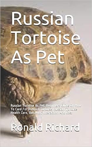 cost of russian tortoise