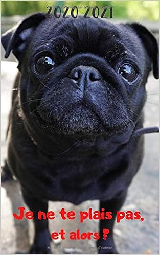 Agenda 2020 2021 Journalier Chien Carlin Bouledogue Francais 280 Pages Une Page Par Jour De La Semaine Et Samedi Dimanche Sur La Meme Format 12 7 X College Lycee Etudiants Et Professionnels Amazon Fr