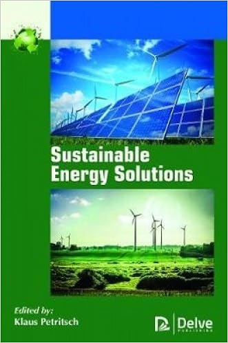  Sustainable Energy Solutions Hardcover – February 28, 2018 by Klaus Petritsch (Editor)