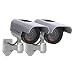 Sunforce 82342 Solar Decoy Camera, (Twin Pack) primary