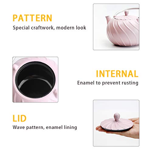 Teapot, TOPTIER Japanese Cast Iron Teapot with Stainless Steel Infuser