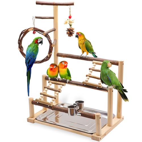 Kaliswell Wooden Parrot Stand