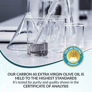 2 C60+Supplement+FULLERENE+Supplement+BUCKMINSTERFULLERENE