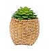 MagiDeal Artificial Succulent Real Touch Alocasia Flower Foliage Plant Decor Green
