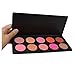 ReNext Professional 10 Color Makeup Cosmetic Blush Blusher
