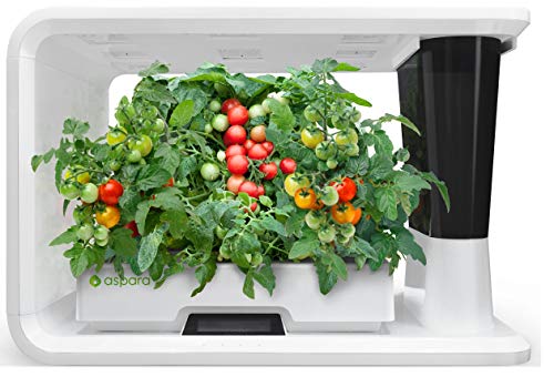 aspara Nature – AS1001WH Smart IoT Hydroponics Grower/Growing System, 16 grow pods, 10 sensors, all seasons indoor garden with 6 Seed Kit Set