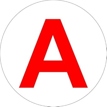 Aufkleber Sticker Auto LKW Fahranfänger A: Amazon.de: Motorrad