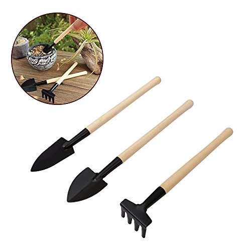 Homagty 14 Pcs Transplanting Tools, Mini Garden Succulent Tool Small Gardening Hand Tools Set for Indoor Miniature Fairy Garden Plant Care