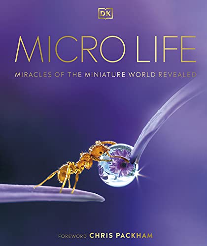 Micro Life: Miracles of the Miniature World Revealed (DK Secret World Encyclopedias) (English Edition)