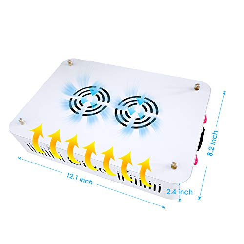 3 Giixer+Switch+Spectrum+Hydroponic+Flower