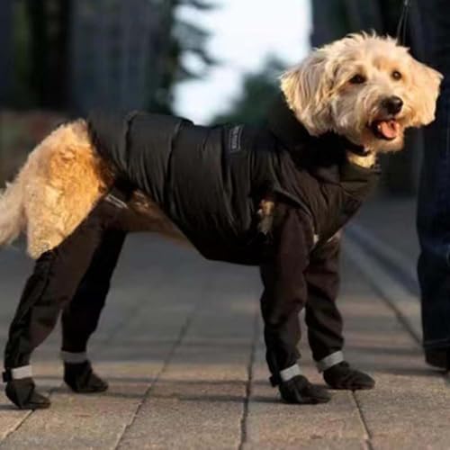 Dog Shoes, Dog Boots With Suspenders, Adjustable Washable Non-Slip Dog Shoes For Walking, Comfortable Dog Snow Boot, Paw Protectors With Reflective Straps For Small Medium Large Dog (L)