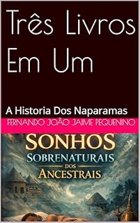 Livro Três Livros Em Um : A Historia Dos Naparamas