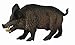 CollectA Woodlands Wild Boar Toy Figure - Authentic Hand Painted Model