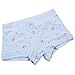 Czofnjesi Girls Underwear Cotton Kids Boyshort Toddler Assorted Panties 5 or 6 Pack (A, 5-7X)
