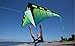 Prism Kite Technology Zenith 5 Single Line Delta Kite