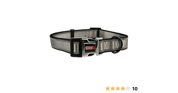 kong reflective collar