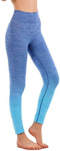 Freeskin Women Ombre Yoga Pants Power Flex High Waisted Stretch Fitness Running Workout Leggings(2015Blue,L/XL)