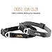 Mighty Paw Dog Collar - High Visibility - Reflective Stitching - Adjustable Dog Collar with Buckle - Durable Dog Collar - Premium Puppy Collar - Suitable for All Dog Sizes - Personalized Dog Collars