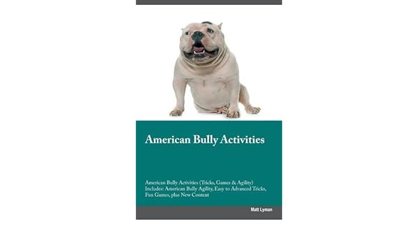 american bully agility