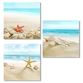 3 Piece Canvas Wall Art for Living Room, Bedroom Seashell Starfish on Beach Canvas Prints for Home Decoration Ready to Hang - 12"x12"x3 Panels