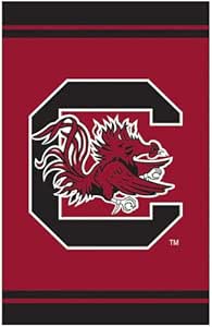 Amazon.com : NCAA South Carolina Gamecocks 18'' x 12.5'' Fiber Optic