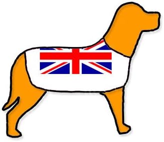 union jack dog coat