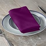 LA Linen 10-Pack Poly Poplin Napkin, Soft Cloth