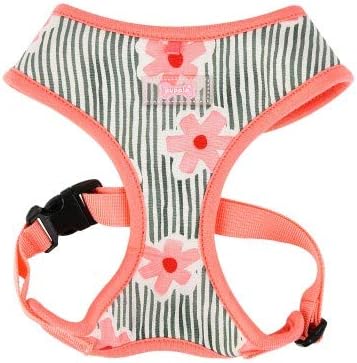 different type of puppies