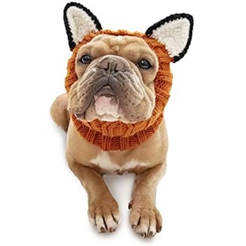Zoo Snoods Fox Dog Costume - Neck and Ear Warmer Headband for Pets (Medium)